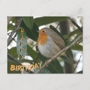 Tarjeta de cumpleaños con adorable petirrojo y hoj