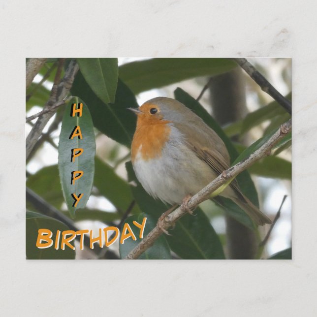 Tarjeta de cumpleaños con adorable petirrojo y hoj (Anverso)