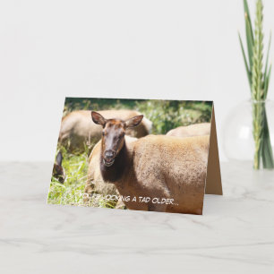 Tarjeta de cumpleaños con alce