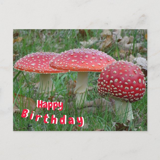 Tarjeta de cumpleaños con amanitas muscarias color (Anverso)