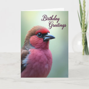 Tarjeta de cumpleaños con arte de pájaro colorido