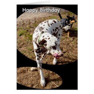 Tarjeta de cumpleaños con arte emergente de dálmat