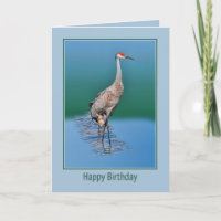 Tarjeta de cumpleaños con Baby Sandhill Crane