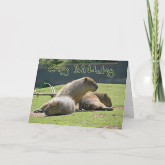 Tarjeta de cumpleaños con Capybara
