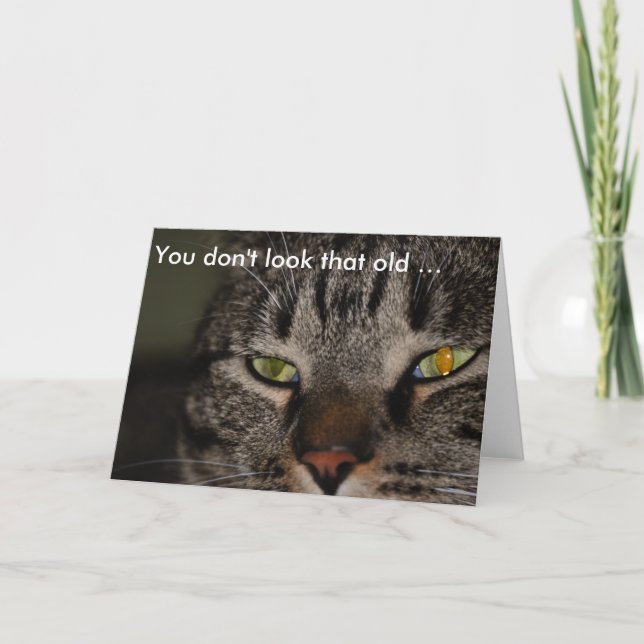 Tarjeta de cumpleaños con Cat: No pareces tan viej (Anverso)