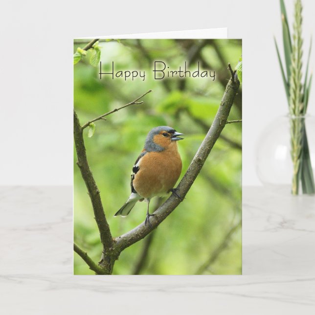 Tarjeta De Cumpleaños Con Chaffinch Masculino (Fri (Anverso)