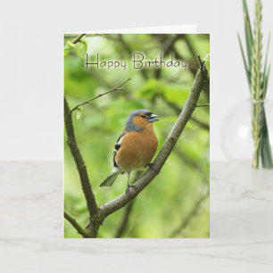 Tarjeta De Cumpleaños Con Chaffinch Masculino (Fri