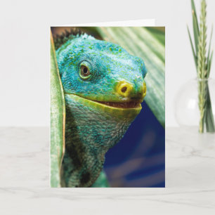 TARJETA DE CUMPLEAÑOS CON CHISTE DE IGUANA