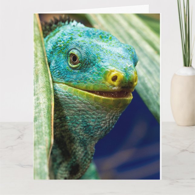 TARJETA DE CUMPLEAÑOS CON CHISTE DE IGUANA (Anverso)
