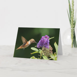 Tarjeta de cumpleaños con colibrí
