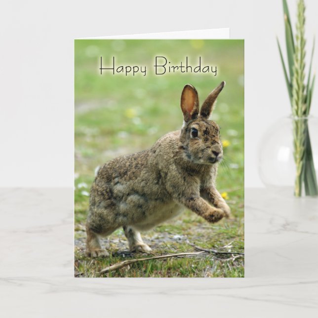 Tarjeta de cumpleaños con conejo salvaje (Anverso)