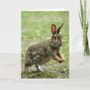Tarjeta de cumpleaños con conejo salvaje
