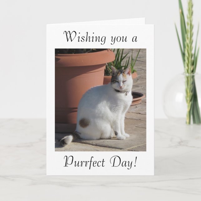 Tarjeta de cumpleaños con diseño del gato (Anverso)