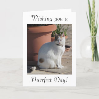 Tarjeta de cumpleaños con diseño del gato