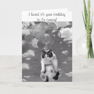 Tarjeta de cumpleaños con el gato de vuelo