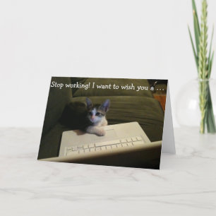 Tarjeta de cumpleaños con el gato: ¡Pare el