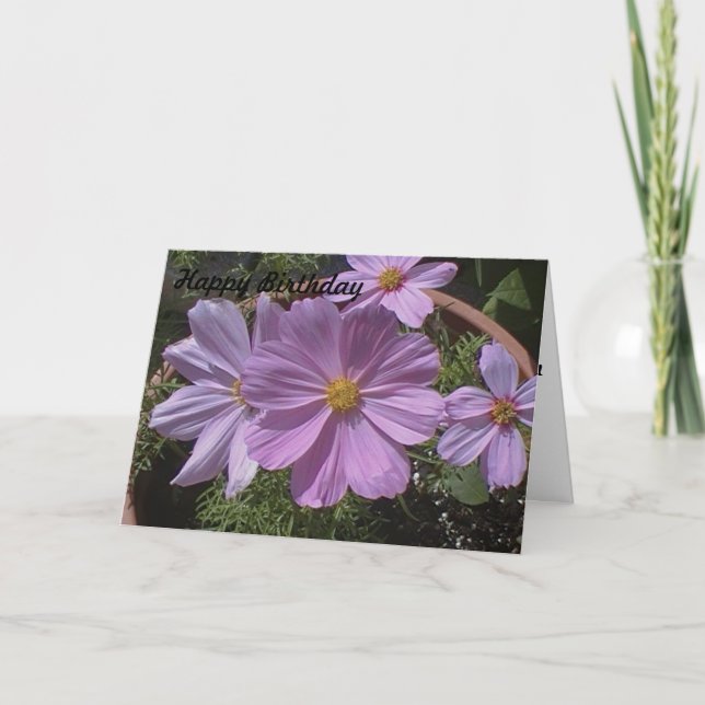 Tarjeta de cumpleaños con flor de cosmos rosa (Anverso)