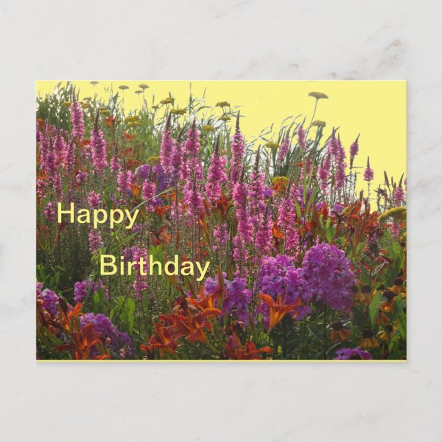 Tarjeta de cumpleaños con flores silvestres colori (Anverso)