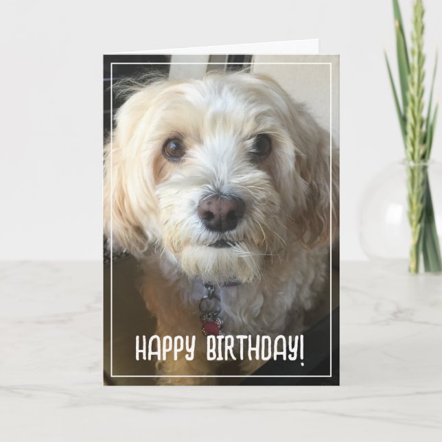 Tarjeta de cumpleaños con foto (Anverso)