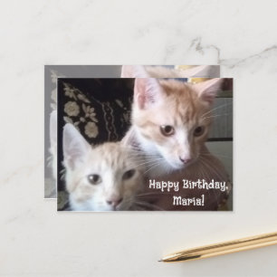 Tarjeta de cumpleaños con foto de gatos delante y