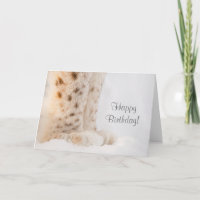 Tarjeta de cumpleaños con garras blandas de linx d