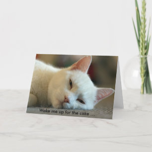Tarjeta de cumpleaños con gato: ¡Despiértame por l