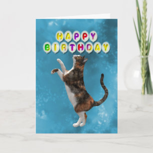 Tarjeta de cumpleaños con gatos de calico