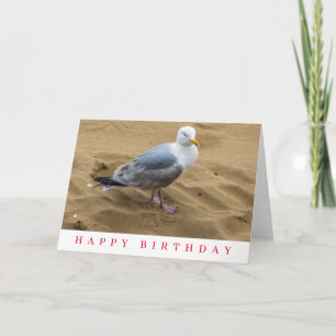 Tarjeta de cumpleaños con gaviota en una playa de