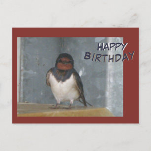 Tarjeta de cumpleaños con golondrina de granero li