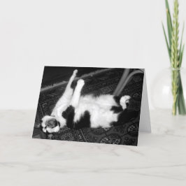 Tarjeta de cumpleaños con grito de gato retrasado