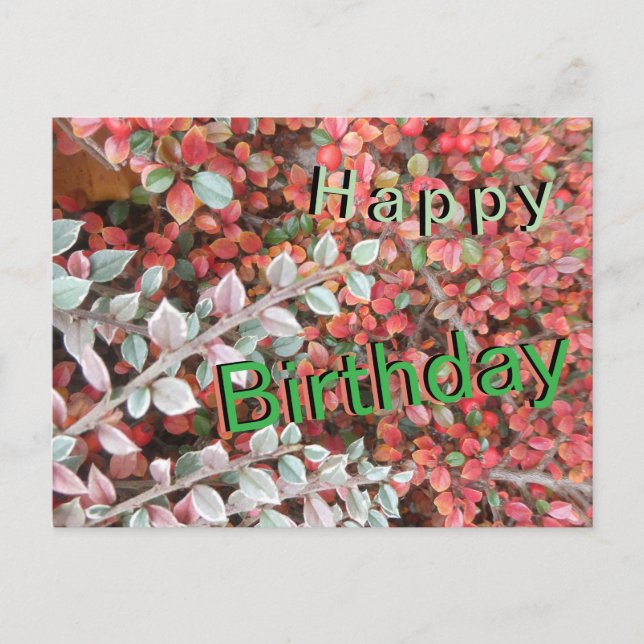 Tarjeta de cumpleaños con hojas rojas y verdes (Anverso)