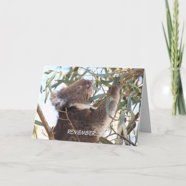 Tarjeta de cumpleaños con koala (Anverso)