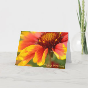 Tarjeta de cumpleaños con la flor anaranjada