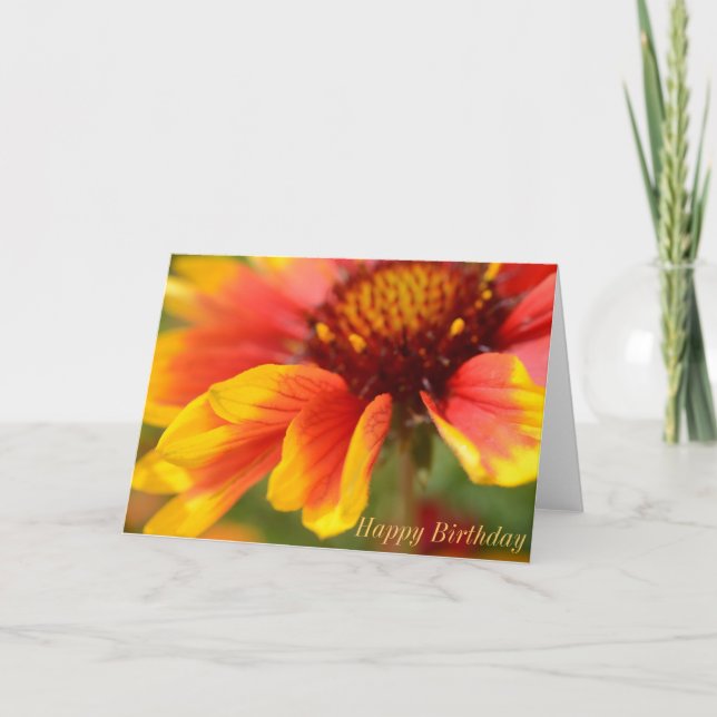 Tarjeta de cumpleaños con la flor anaranjada (Anverso)