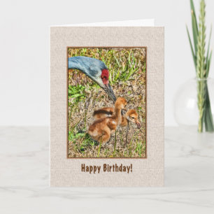 Tarjeta de cumpleaños con las grúas de Sandhill