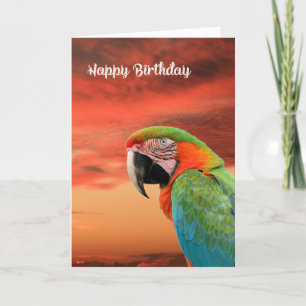 Tarjeta de cumpleaños con loro colorido y puesta d