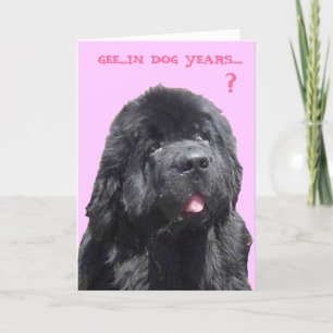 Tarjeta de cumpleaños con Newfy