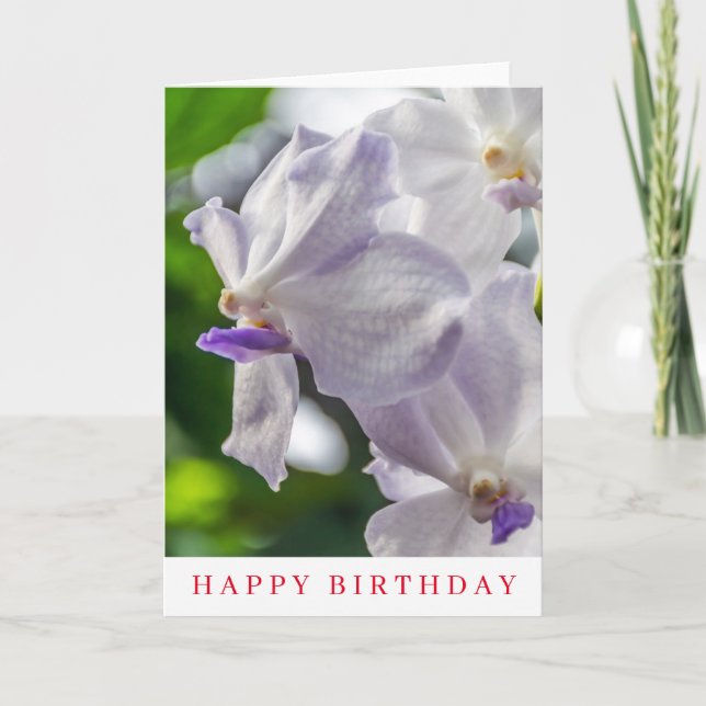 Tarjeta de cumpleaños con orquídeas blancas (Anverso)