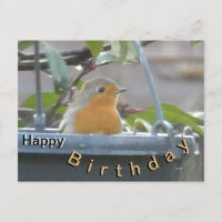 Tarjeta de cumpleaños con petirrojo en maceta