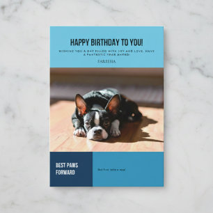 Tarjeta de cumpleaños con siesta de Boston Terrier