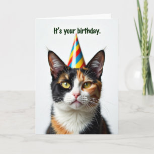 Tarjeta de cumpleaños con sombrero festivo de gato