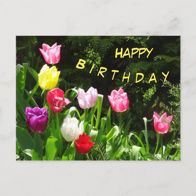 Tarjeta de Cumpleaños con Tulipanes Coloridos (Anverso)