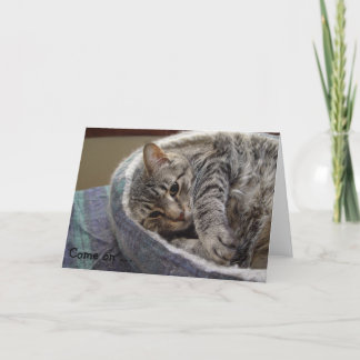 Tarjeta de cumpleaños con un gato gris lindo: Vamo