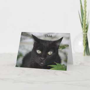 Tarjeta de cumpleaños con un gato negro lindo