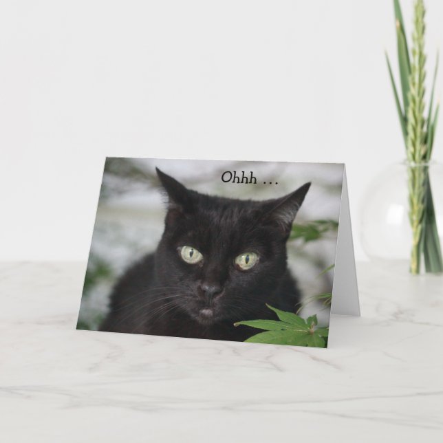 Tarjeta de cumpleaños con un gato negro lindo (Anverso)