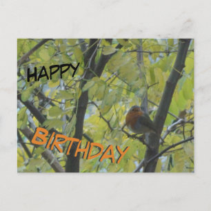 Tarjeta de cumpleaños con un lindo petirrojo en el