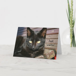 Tarjeta de cumpleaños con un maravilloso gato negr
