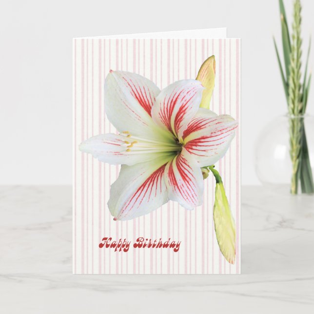 Tarjeta de cumpleaños con una bella lirio (Anverso)