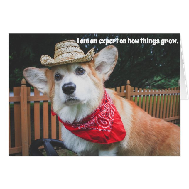 Tarjeta de cumpleaños Corgi Farmer (Anverso (Horizontal))