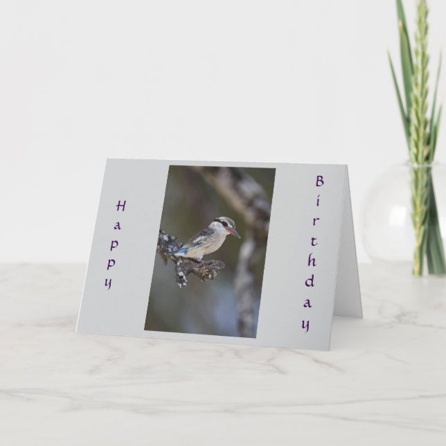 TARJETA DE CUMPLEAÑOS "CUMPLEAÑOS COMPARTIDO" (Anverso)